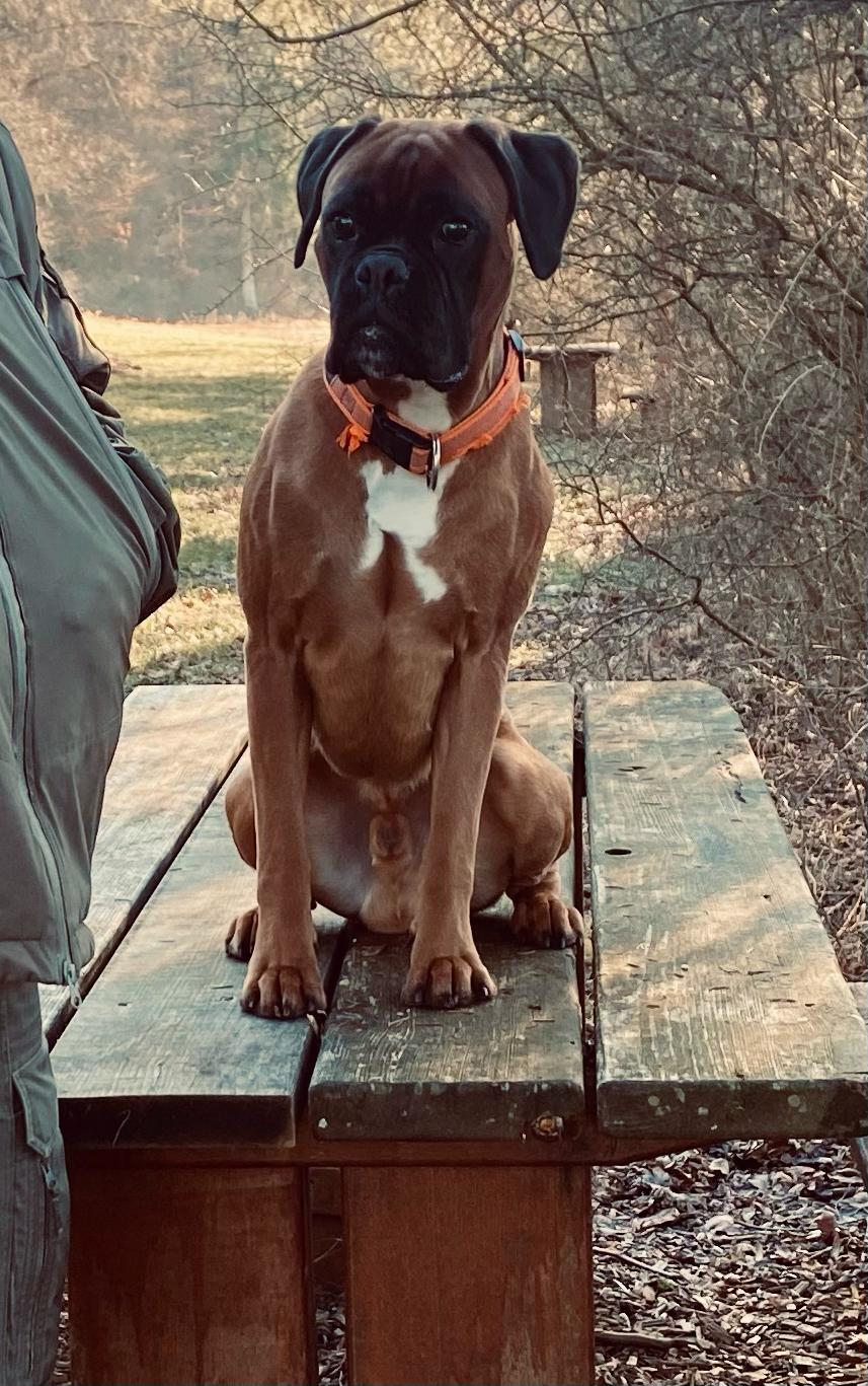 Daris und Kaskayas Sohn Ben von der Teufelsbrut