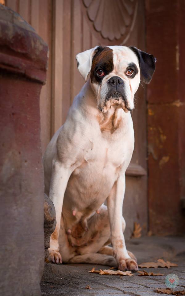 Bavaria von der Martinshöhe BABSI